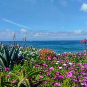 Meet your Posher, Marylou